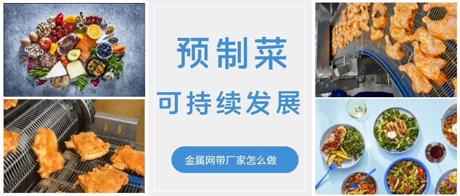 金屬輸送網帶的領頭企業,預制菜的可持續發展中能做什么?