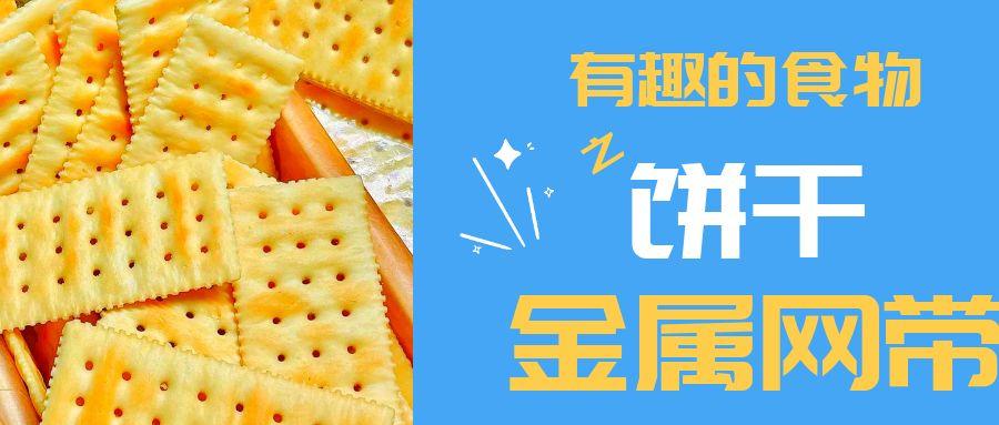 【有趣的食物】餅干到底用到多少金屬網帶？