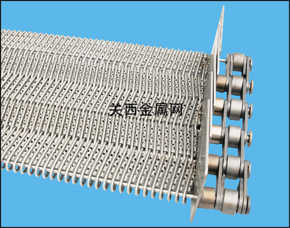 鏈條式F2網(wǎng)帶 鏈條式F2網(wǎng)帶