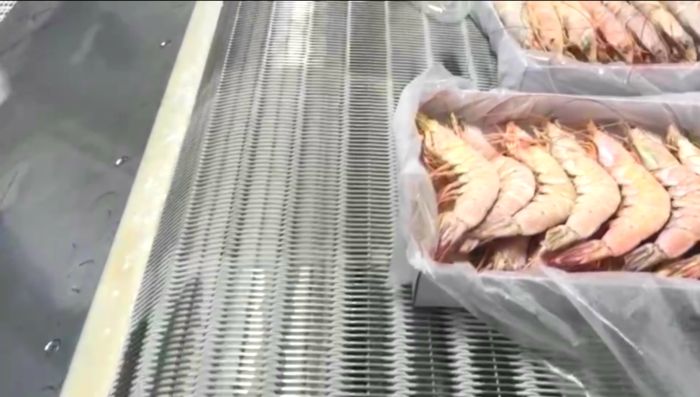 食品網帶 食品網帶