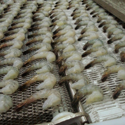 冷凍網帶 冷凍網帶