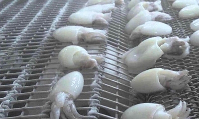 1745907049274090.jpg 冷凍墨魚仔.jpg